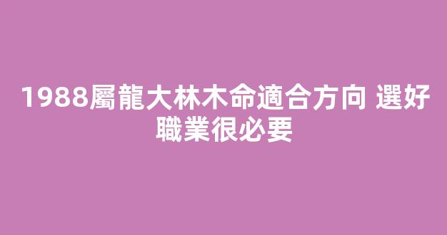 1988屬龍大林木命適合方向 選好職業很必要